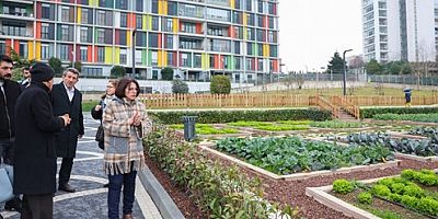 Çocuk Tarım Parkı hizmete açılmaya hazırlanıyor