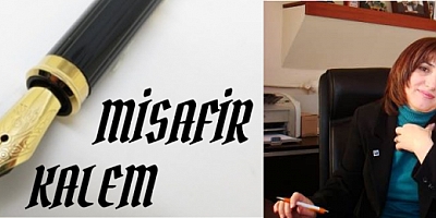 FİLİZ YILDIZ ŞİMŞEK; 'HAYATIN KENDİSİ MUHASEBE DEĞİL Mİ?' Her İnsanın Hayatının Muhasebesi vardır Elbet. 