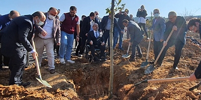 MALTEPE TOKATLILAR DERNEĞİ